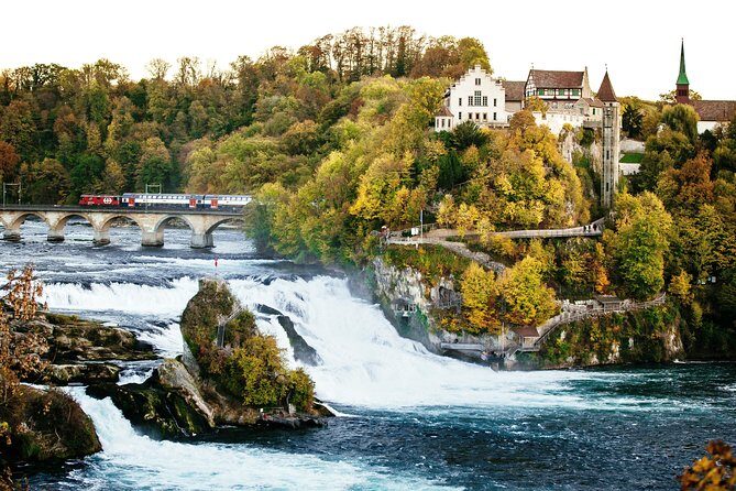 Black Forest and Rhine Falls Day Trip from Zurich - The Value of This Tour