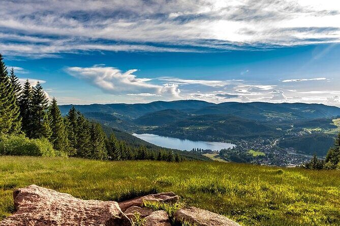 Black Forest and Rhine Falls Day Trip from Zurich - Who Should Consider This Tour?