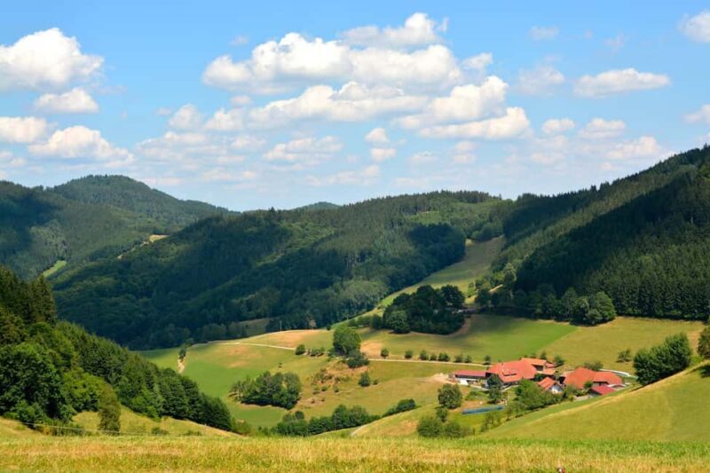 Black Forest Day Trip from Strasbourg: Baden Baden & Wine - What to Expect from the Black Forest Day Trip