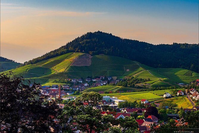 Black Forest. From Baden-Baden to Strasbourg. Two countries in one day - Key Points