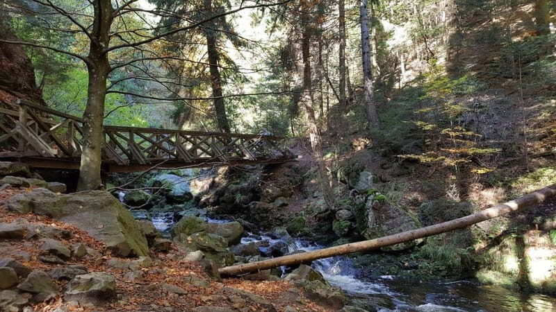 Black Forest: Ravenna Gorge Hike, Self-Guided - Key Points