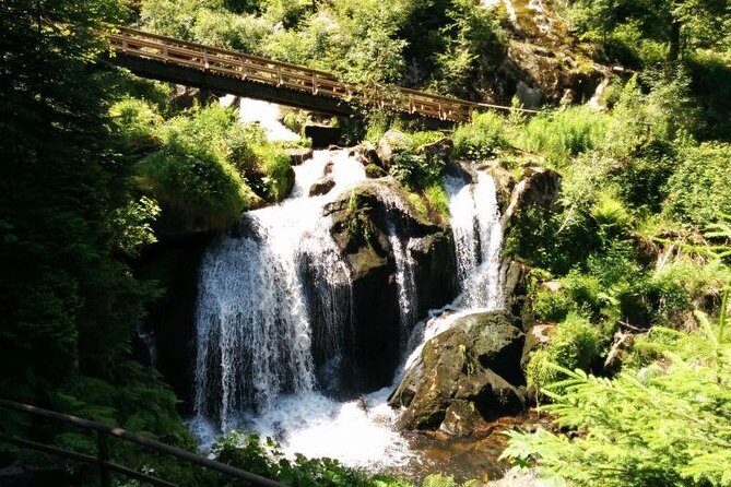 Black Forest Tour by car - start Offenburg or Freiburg - What Do Travelers Say?