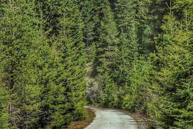 Black Lake and Djurdjevica Tara Bridge (Private tour) - A Deep Dive into the Experience