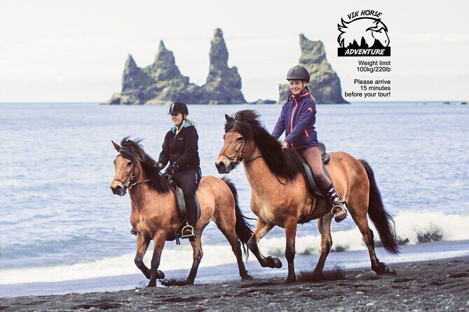 Black Sand Beach Horse Riding Tour from Vik - An Overview of the Experience