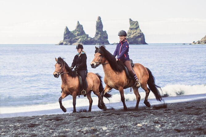 Black Sand Beach Horse Riding Tour from Vik - Do You Get to Tölt or Trot? Expect Walk First, Then Maybe More