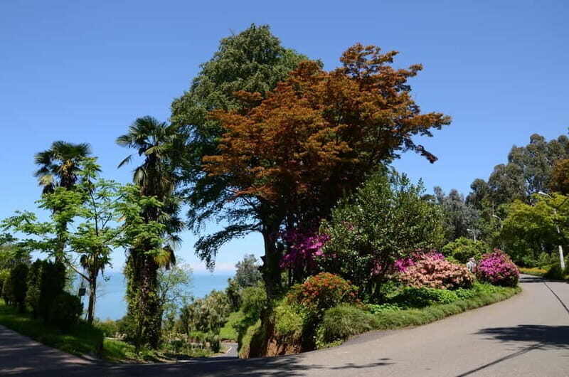 Black Sea: Magnetic Beach and Batumi Botanical Garden Tour - Final Thoughts