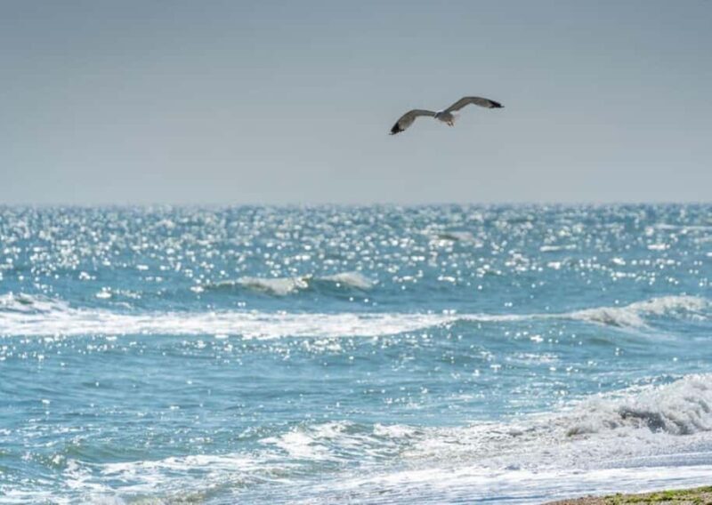 Black Sea Private Tour from Bucharest, day tour to Constanta - Final Thoughts