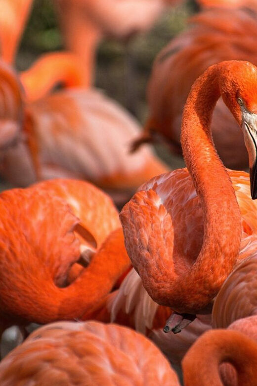 Blackpool: Zoo Admission Ticket - Who Should Visit?