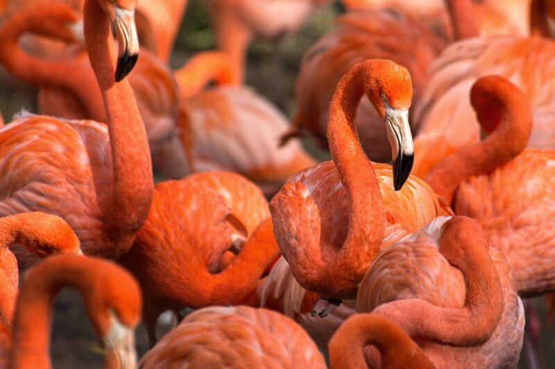 Blackpool: Zoo Admission Ticket - Final Thoughts