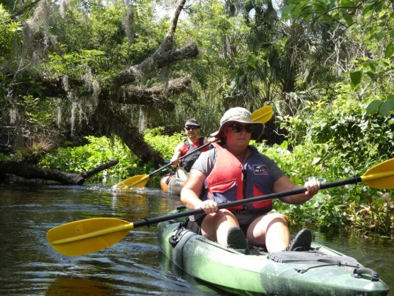 Blackwater Creek: Exclusive Nature Escape Kayak Adventure - Blackwater Creek: Exclusive Nature Escape Kayak Adventure