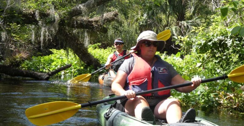 Blackwater Creek: Exclusive Nature Escape Kayak Adventure - An Inside Look at the Blackwater Creek Kayak Tour
