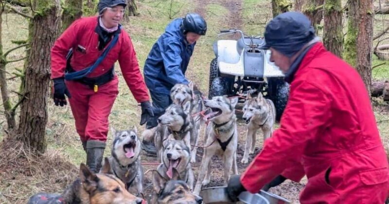 Blairgowrie: Husky Ride and Meet the Pack - The Practicalities: Booking, Duration, and What You Need to Know