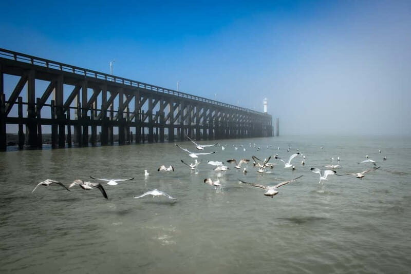 Blankenberge: Offshore Wind Farm Tour by Boat - FAQ