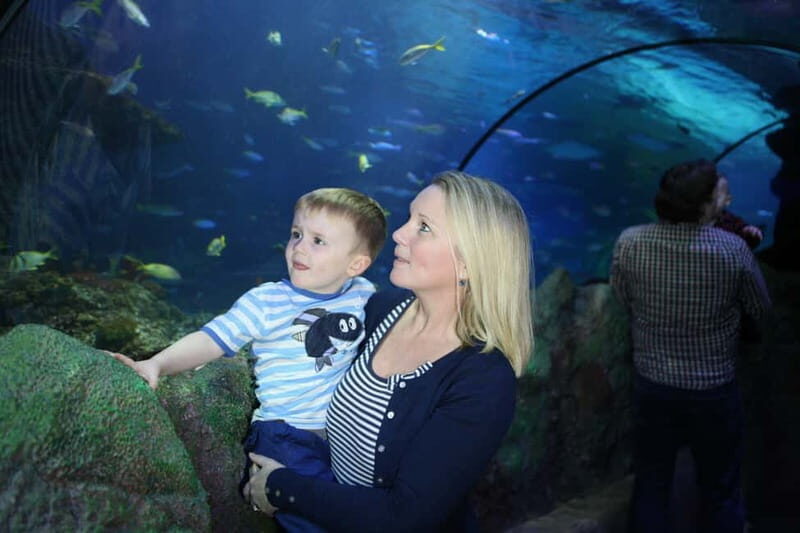 Blankenberge: SEA LIFE Entry Ticket - What You Can Expect at Blankenberge SEA LIFE