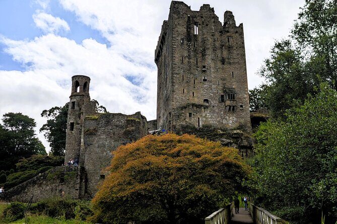 Blarney Castle and Jameson Midleton Distillery Private Day Tour - Who Should Consider This Tour?