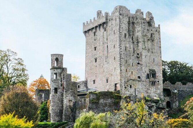 Blarney Castle and The Rock of Cashel with Private Chauffeur Tour - An In-Depth Look at the Itinerary