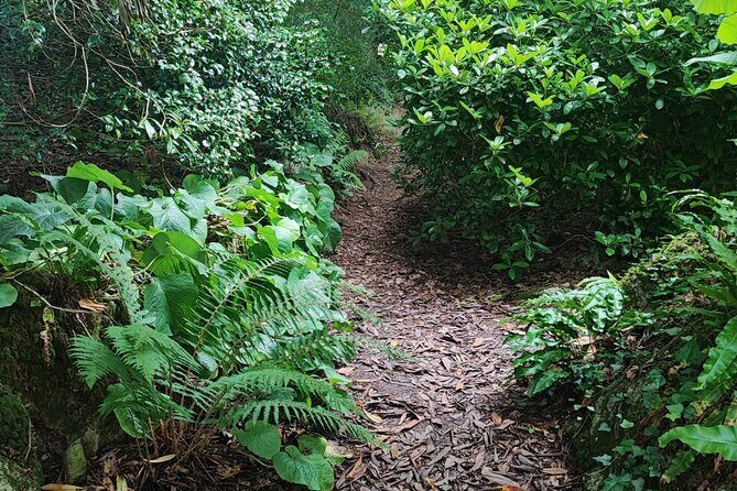 Blarney Castle Cork City and Jameson Distillery Small groups - FAQ