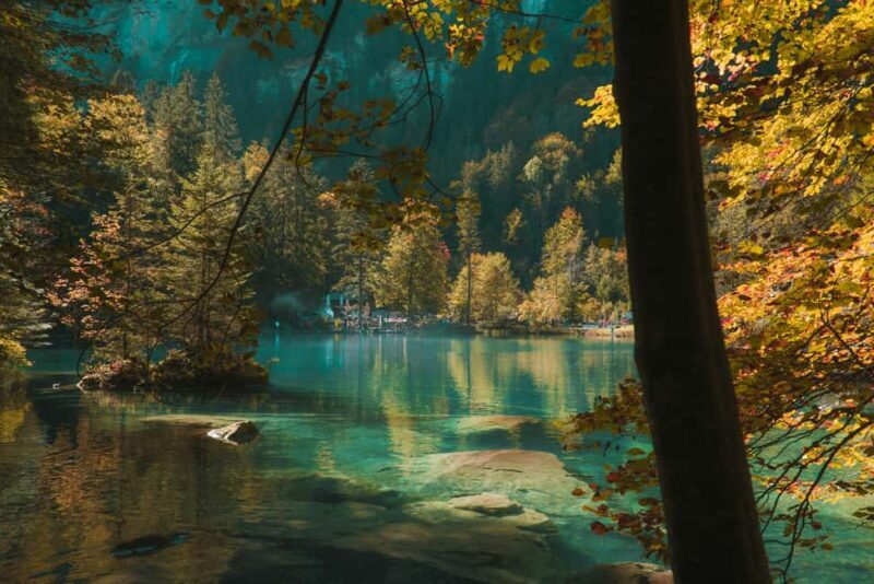 Blausee: Lake and Swiss Fondue Experience - What to Expect from the Blausee Lake and Fondue Tour
