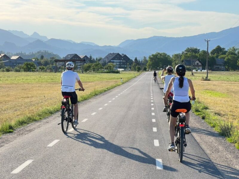 Bled: e-Bike Rental - The Bikes and Equipment
