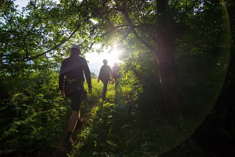 Bled: Europe's Longest Zipline Adventure over Dolinka River - Who Should Consider This Tour?