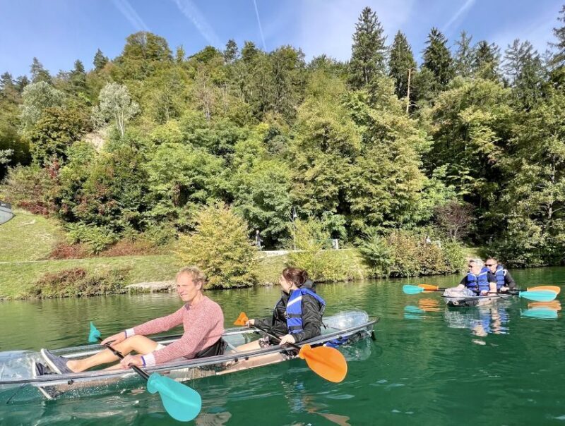 Bled: Guided Kayaking Tour in a Transparent Kayak - What Travelers Love About It