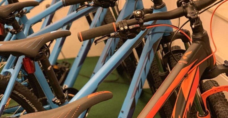 Bled: Mountain Bike Rental - The Ride Itself: What You’ll Experience