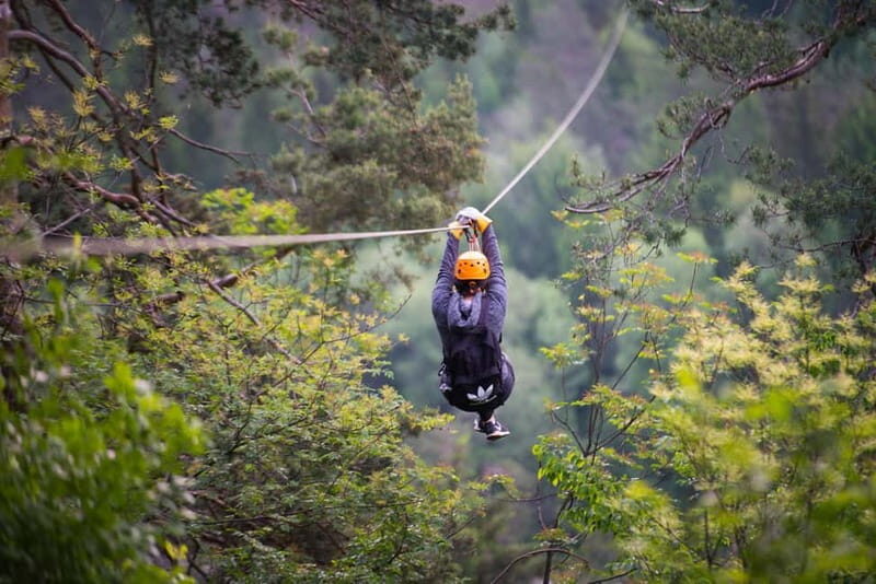 Bled: Zipline Dolinka Exclusive Private Tour - What’s Included in the Price