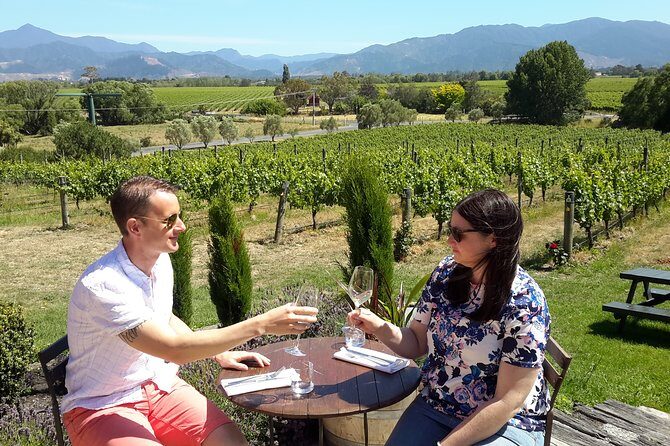 Blenheim Half day Wine Tour - Who Is This Tour Best Suited For?