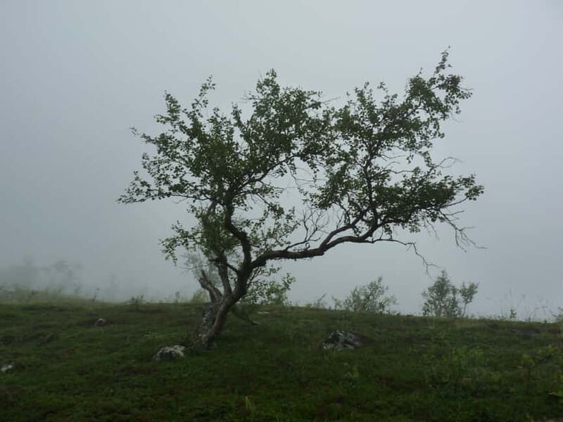 Bloody Stockholm: ghosts, horror and dark folklore 2h - Who Will Love This Tour?