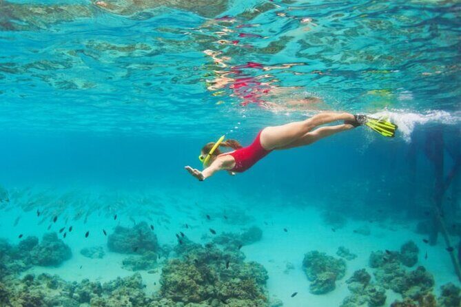 Blue Cave Full-Day Boat Tour with Hvar and 5 Islands - What Travelers Say