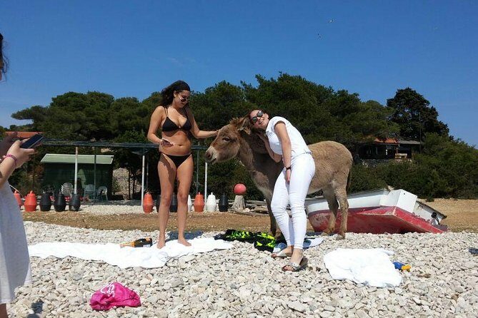 Blue Cave, Hvar and Five islands - Small-Group Tour From Split - Practical Tips and Recommendations