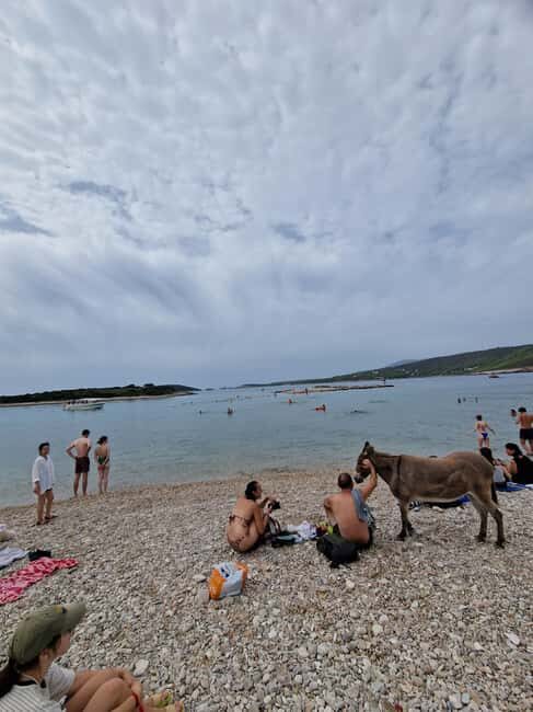 Blue cave private tour from Hvar - FAQs about the Blue Cave Private Tour from Hvar