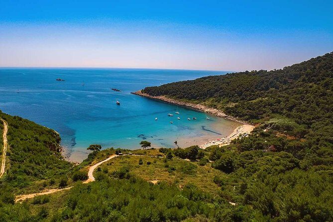 Blue Cave Small-Group Boat Tour from Dubrovnik - Who Should Book This Tour