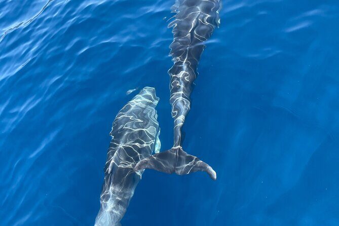 Blue cave tour with a speedboat-small group - Final Thoughts