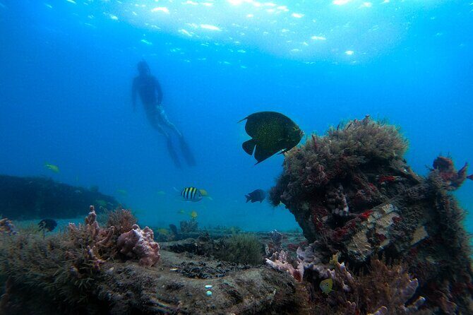 Blue Heron Bridge Guided Snorkel Tour - An In-Depth Look at the Blue Heron Bridge Snorkel Tour