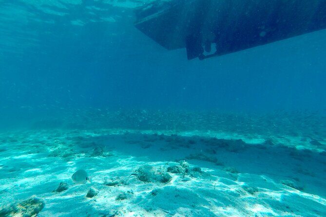 Blue Lagoon & 3 Islands Private Boat Tour - The Real Experience: Pros and Cons