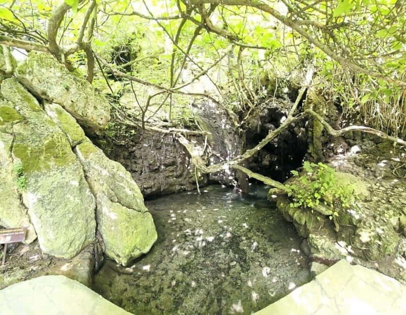 Blue Lagoon (Akamas) Bus & Boat Tour from Paphos - Who Is This Tour Best For?