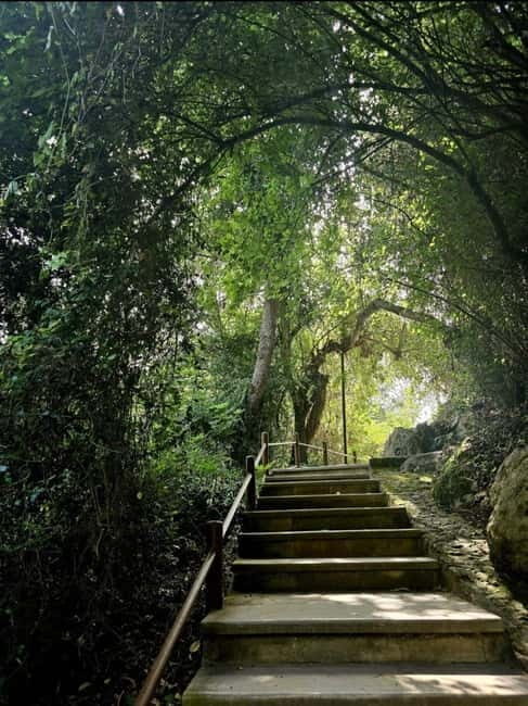 Blue Lagoon (Akamas) Bus & Boat Tour from Paphos - Final Thoughts