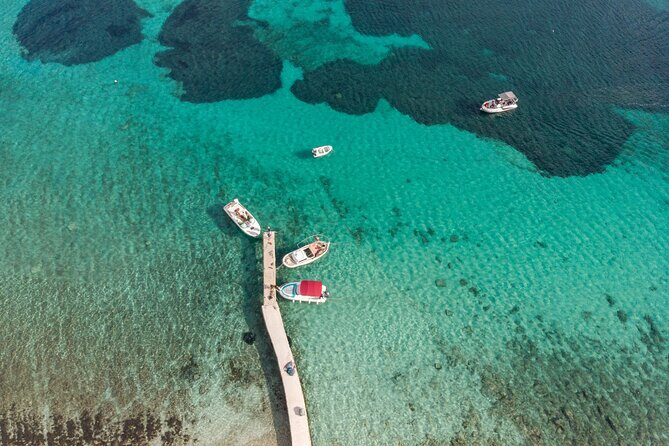 Blue Lagoon and olta Island Private Speedboat Tour - An Up-Cclose Look at the Tour Itself