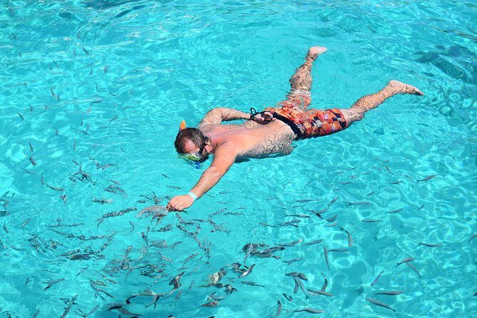 Blue Lagoon, Beaches and Bays Catamaran Sailing Tour - An Overview of the Experience