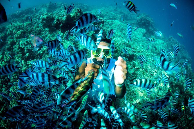 Blue Lagoon Cruises - Wanderer Cruise - 4 Night - Final Recommendation