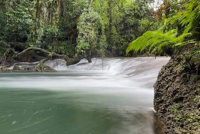 Blue Lagoon & Eden on the River - Half Day Trip with Yumi Tours - A Closer Look at the Tour Itinerary