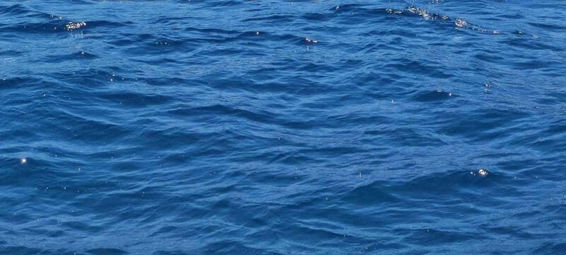 Blue Lagoon Latchi, coach transfer+boat trip, Half day trip - Detailed Review of the Blue Lagoon Latchi Tour