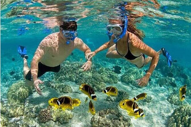 Blue Lagoon Snorkling activities - Value and Pricing