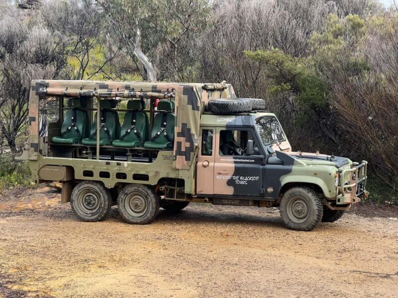 Blue Mountains 3 Hour Army Truck Adventures - The Real Traveler Insights