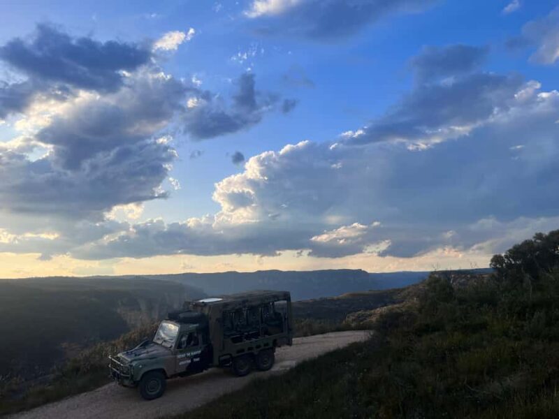 Blue Mountains 3 Hour Army Truck Adventures - Who Should Consider This Tour?