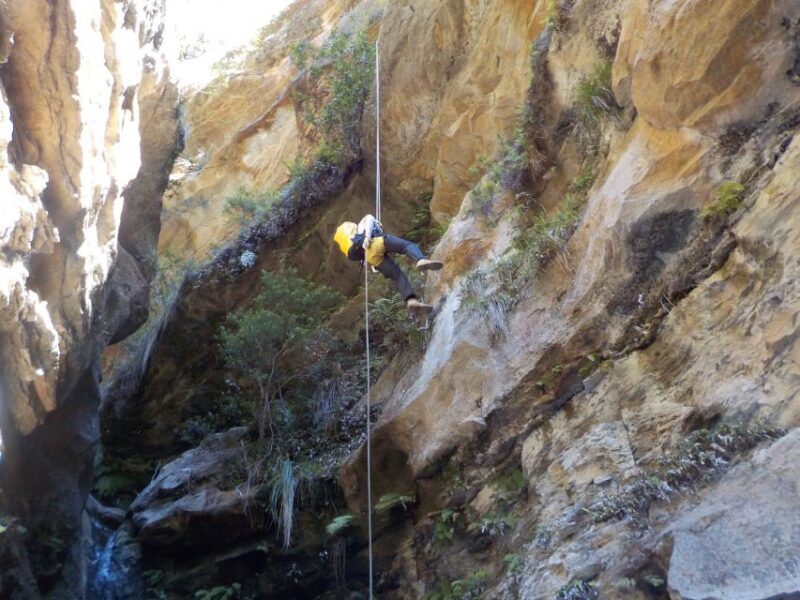Blue Mountains: Abseiling and Canyoning Experience - Final Thoughts