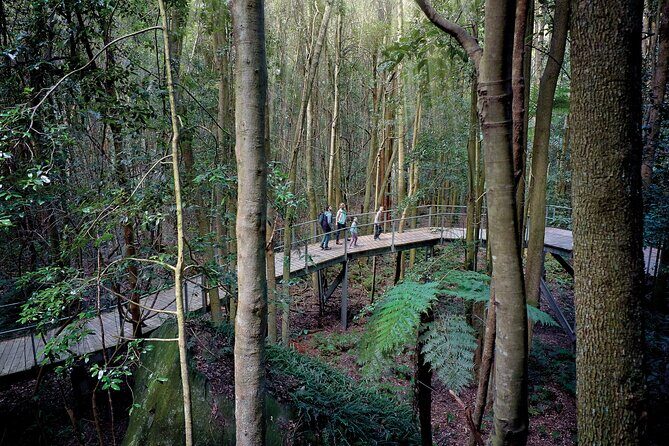 Blue Mountains Adventure w Scenic World, Zoo, Koala Photo & Ferry - What Makes This Tour Stand Out