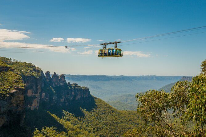Blue Mountains Adventure w Scenic World, Zoo, Koala Photo & Ferry - Pricing & Value