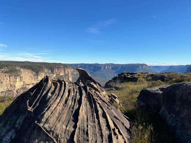 Blue Mountains: Butterbox Point Guided Hike - Discovering the Blue Mountains: A Look at the Experience